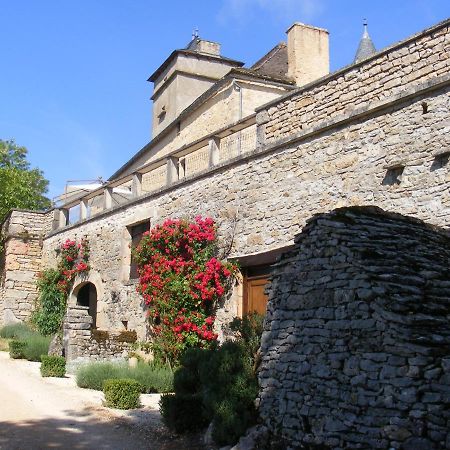 Chateau De Laumiere Promilhanes 外观 照片