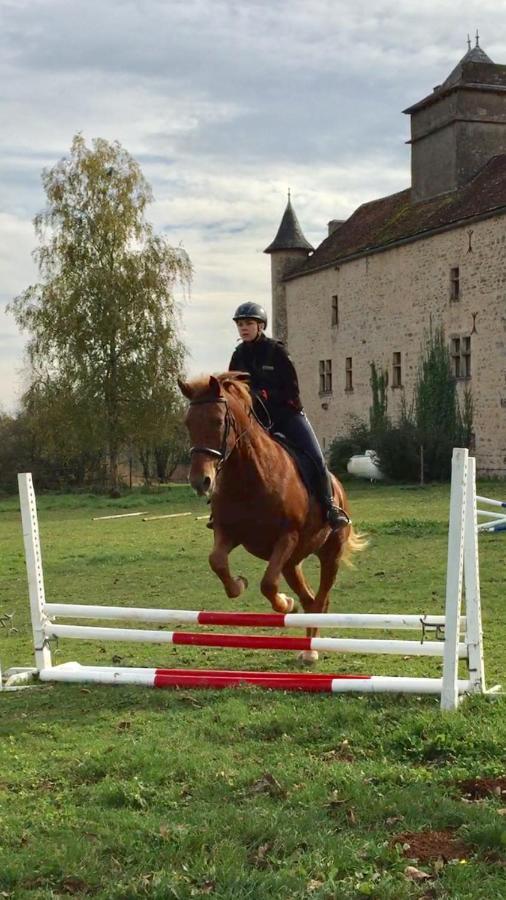 Chateau De Laumiere Promilhanes 外观 照片